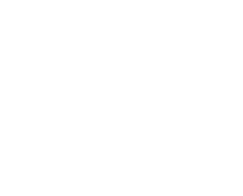 Stone Axe